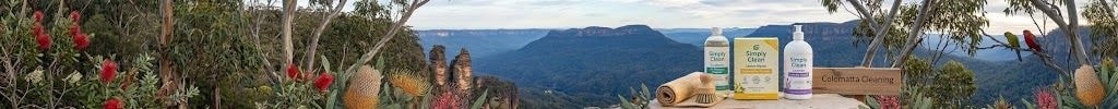 Blue Mountains landscape with cleaning products